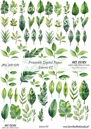 Elementy do wycinania - Leaves 01 - DIGI