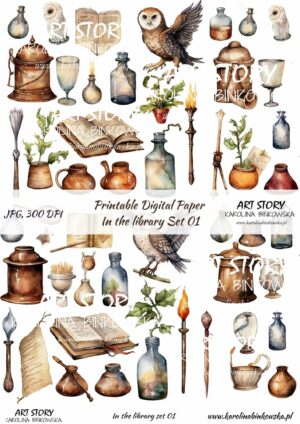 Elementy do wycinania - In the library set 01 - DIGI