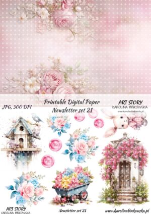 Elementy do wycinania - Newsletter set 21 - DIGI