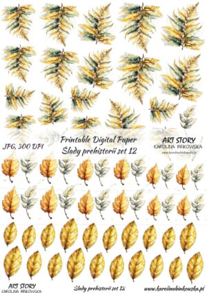 Elementy do wycinania - Ślady prehistorii set 12 - DIGI