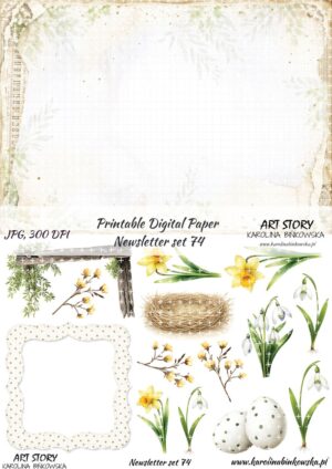 Elementy do wycinania - Newsletter set 74 - DIGI