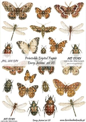 Elementy do wycinania - Dary Jesieni set 10 - DIGI